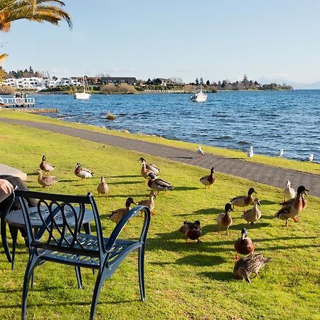 Oasis Beach Motel Таупо Екстер'єр фото